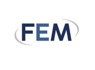 Consultant at FEM