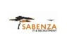 DevOps <em>Engineer</em> at Sabenza IT