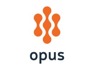 Director of Information Technology at Opus