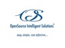OpenSource Intelligent Solutions is looking for Functional Specialist