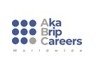 Sales Manager at ABC Worldwide AKA BRIP Careers Worldwide
