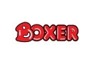 <em>Boxer</em> Superstores is looking for Advertising Coordinator