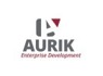 Project Manager at Aurik Enterprise Development