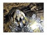 EVANDER GOLD MINE <em>JOBS</em> AVAILABLE