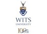 Professor at University of the Witwatersrand