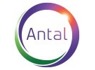 Data Scientist at Antal International