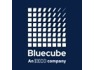 System Support Engineer needed at Bluecube Technology Solutions An Ekco Company