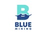 BLUE MINING ARE LOOKING FOR GENERAL WORKERS CALL OR WHATSAPP HR BALOYI 0798218243