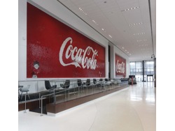 COCA COLA FORTUNE COMPANY POLOKWANE