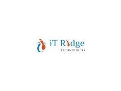 Business Intelligence Applications Manager