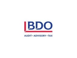 Junior Audit Manager