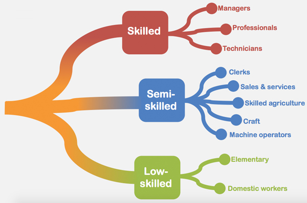 Breakdown of skill level occupation
